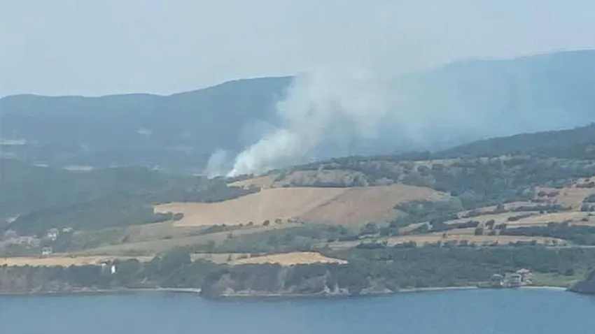Çanakkale'de korkutan orman yangını!