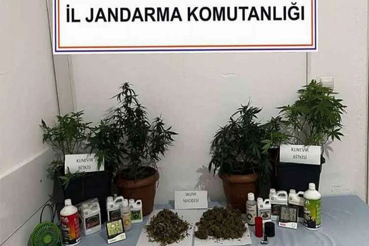 Muğla'da jandarma uyuşturucuya geçit vermiyor haberinin görseli