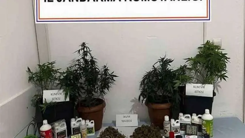 Muğla'da jandarma uyuşturucuya geçit vermiyor haberinin görseli