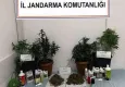 Muğla'da jandarma uyuşturucuya geçit vermiyor