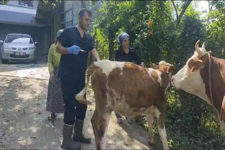 120 köy karantina ve gözetim altına alındı haberinin görseli