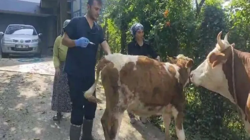 120 köy karantina ve gözetim altına alındı haberinin görseli