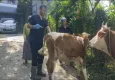 120 köy karantina ve gözetim altına alındı