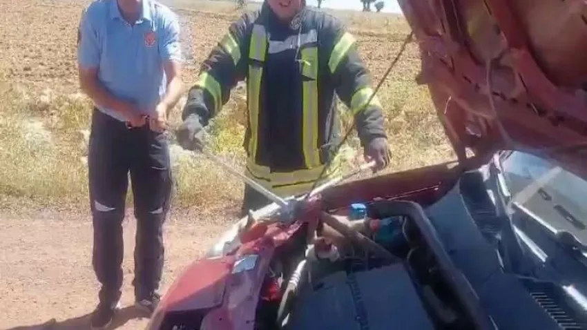 Aracın motorundan 1.5 metre uzunluğunda yılan çıktı haberinin görseli