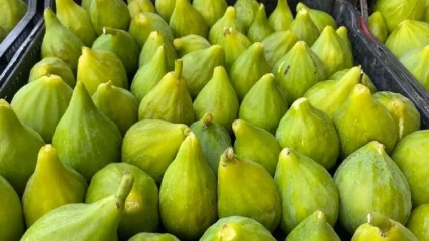 Tezgahları Manisa inciri süsledi haberinin görseli