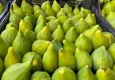 Tezgahları Manisa inciri süsledi