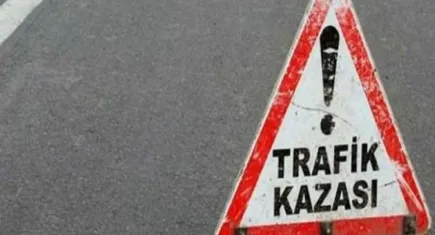 Afyonkarahisar'da otomobil tarım arazisine girdi