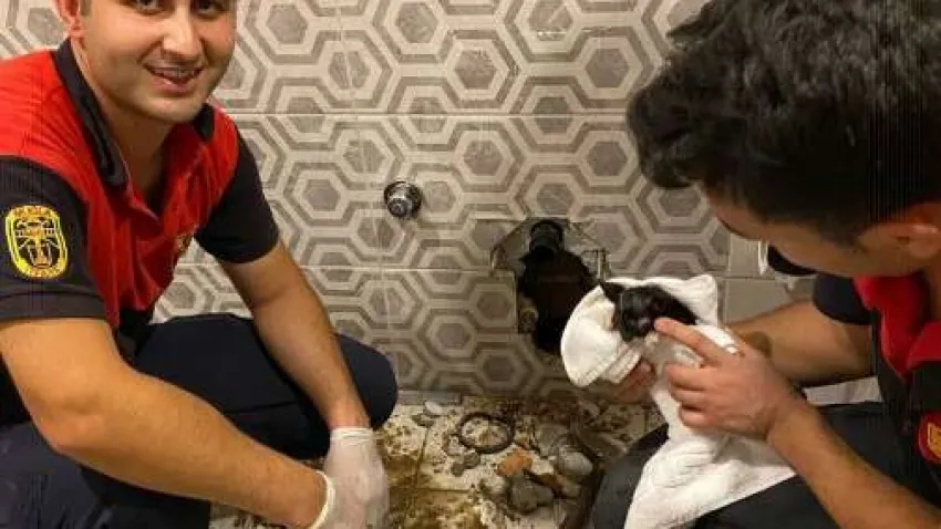 Muğla’nın Bodrum ilçesinde otel tuvaletinin gider borusunda mahsur kalan yavru kedi, görüntüleme cihazı yardımıyla kurtarıldı.