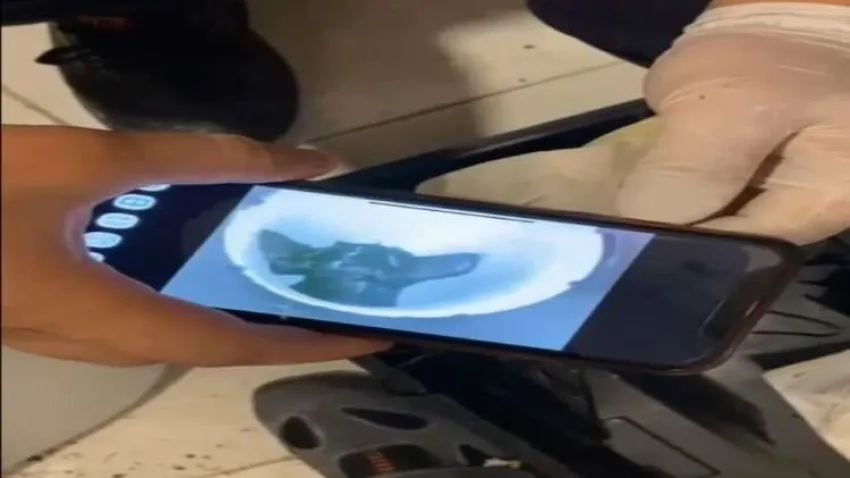 Tuvaletin gider bosusunda mahsur kalan kedi böyle kurtarıldı haberinin görseli