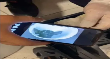 Tuvaletin gider bosusunda mahsur kalan kedi böyle kurtarıldı