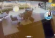 İzmir'de dehşet: Köpeği tekmeleyerek öldürdü!
