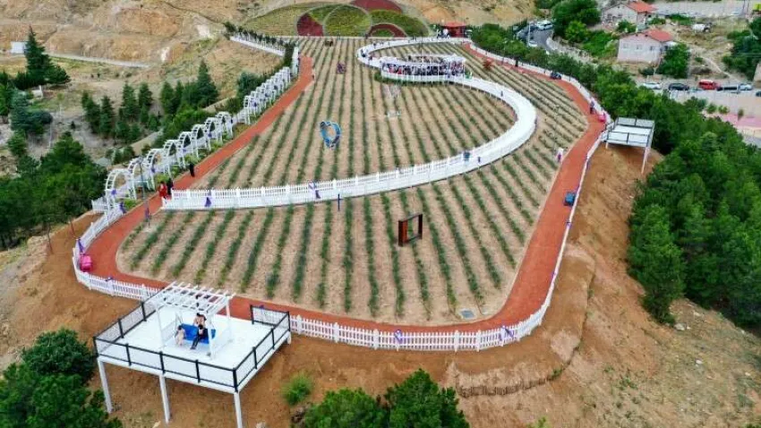 Lavanta bahçesinin, havasıyla, suyuyla, insanıyla, doğallığıyla eşsiz güzellikteki Meram’ın en güzel mahallelerinden Dere Mahallesi’nde olduğuna vurgu yapan Başkan Mustafa Kavuş, “Burada huzur, estetik, doğal güzellikler var. Manzara, sağlık var. Tarım var, turizm var. Kısaca burada insana ve insan ruhuna dokunan her şey bir arada. Burada hemşehrilerimiz, lavantanın büyüleyici kokusunu hissedecek, lavantaları ve buradaki eşsiz manzarayı hayranlıkla seyredip bu eşsiz hediyenin tadını çıkaracaklar. Tüm vatandaşlarımızı, muhteşem güzelliği ile gözlere, yaydığı kokularla ruhlara dokunan Meram Lavanta Bahçesi’ni görmeye, lavantanın büyülü dünyasını yaşamaya davet ediyorum” şeklinde konuştu.