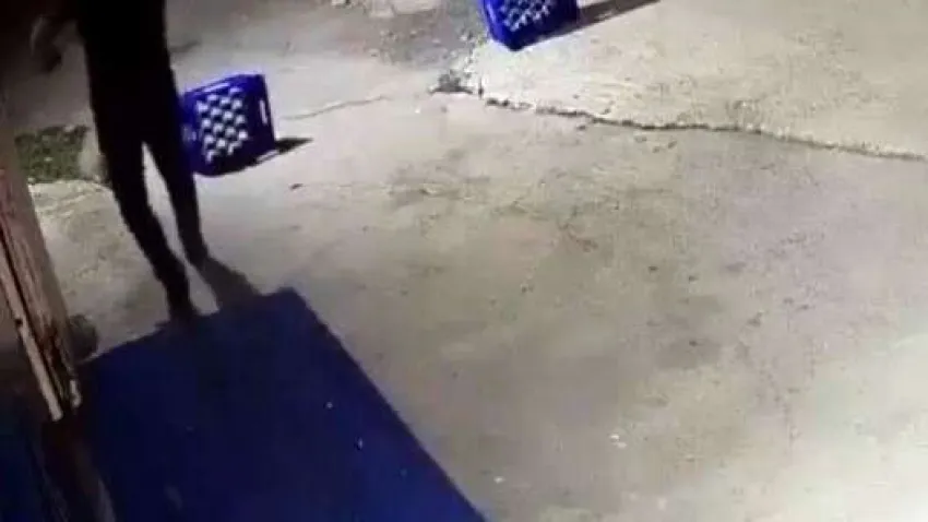 Sakarya’nın Karasu ilçesinde bir şahıs, tartıştığı eğlence mekanı sahibinin ağaca bağlı köpeğine bir şarjör mermi sıktı. Köpeğin can çekiştiği dehşete düşüren o anlar, güvenli kamerasınca saniye saniye kaydedildi.