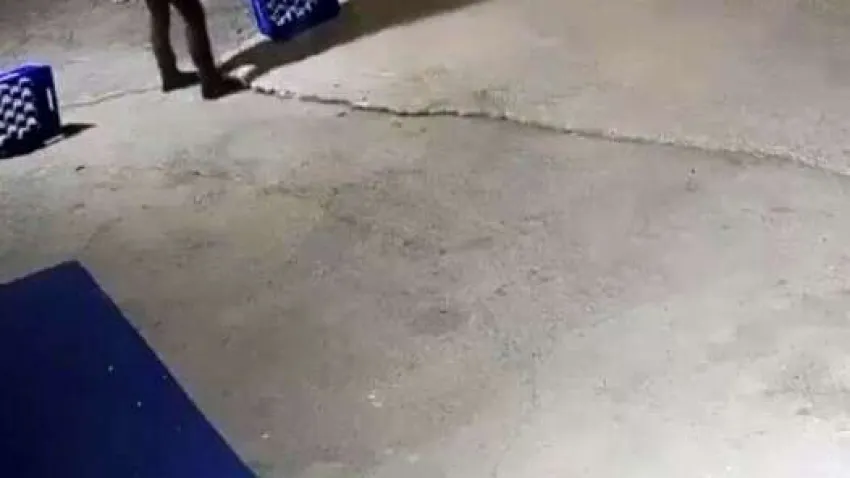 Olay, Karasu'da meydana geldi. İddiaya göre, yan yana olan iki eğlence mekanı sahibi şahıslar arasında henüz bilinmeyen bir sebepten dolayı tartışma yaşandı. M.O. isimli şahıs, tartıştığı diğer mekan sahibinin ağaca bağlı köpeğinin yanına geldi. Tabancasını çıkaran M.O., ağaca bağlı köpeğe gözünü bile kırpmadan bir şarjör mermiyi boşalttı. Dehşete düşüren görüntüler ise güvenlik kamerasınca saniye saniye kaydedildi. Görüntülerde, şahsın ağaca bağlı köpeğe silahla ateş ettiği ve köpeğin acı içerisinde kaçmaya çalıştığı anlar yer aldı.