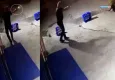 Bir köpek dehşeti de Sakarya'dan!