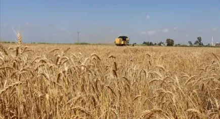 Tarımsal destekleme ödemeleri bugün yapılıyor