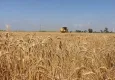 Tarımsal destekleme ödemeleri bugün yapılıyor