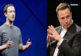 Elon Musk, Zuckerberg'den öcünü kafeste alacak