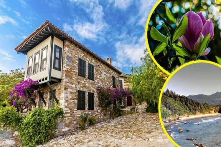 Domatia Köyü nerede? Domatia Köyü'ne nasıl gidilir? haberinin görseli