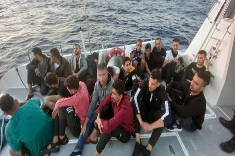 Muğla'da can salında can pazarı yaşanıyor haberinin görseli