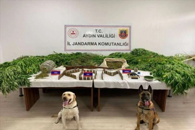 Aydın’da 6 ayda 86 kişi uyuşturucudan tutuklandı haberinin görseli