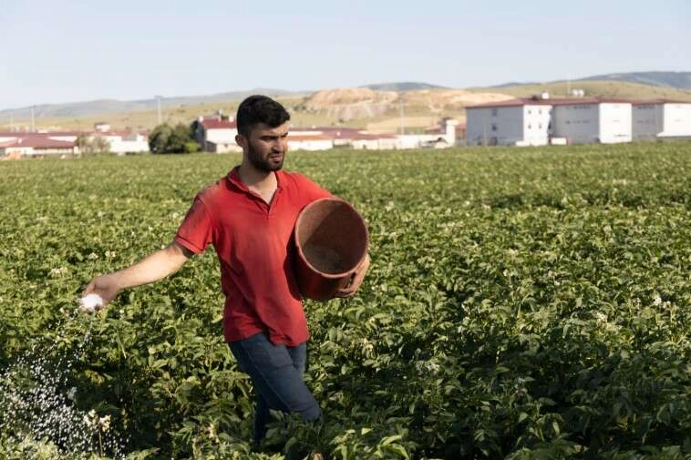 Afyon'lu fenomen çiftçinin şiveli esprileri beğeni topluyor