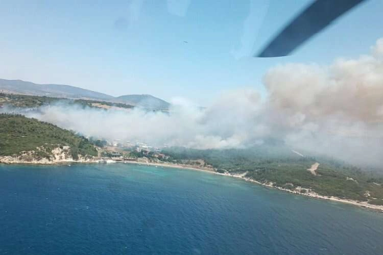 İzmir Aliağa'da orman yangını çıktı