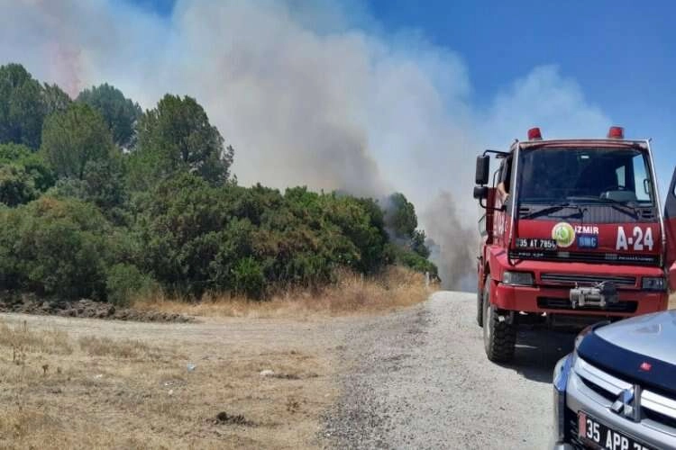 İzmir Menderes'te korkutan orman yangını