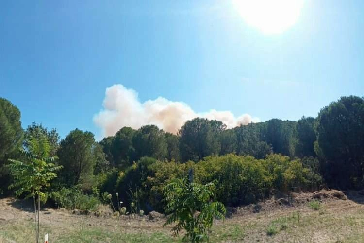Aliağa'da yangın: 4 ev hasar gördü, 1'i tamamen yandı haberinin görseli