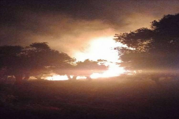 Aydın'da zeytinlik alanda çıkan yangın korkuttu haberinin görseli