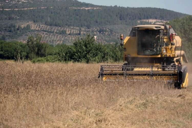 Karakılçık buğdayının hasadına başlandı haberinin görseli
