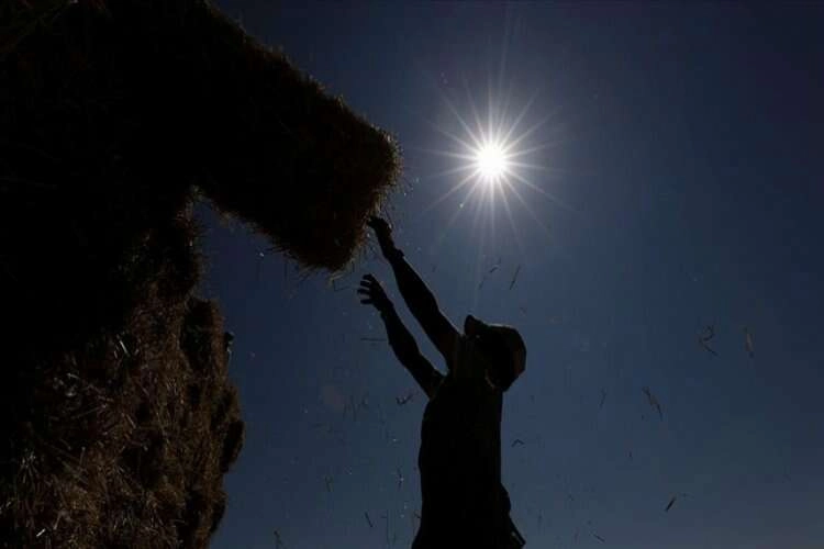 Çiftçiler için sıcaklık stresi alarmı!