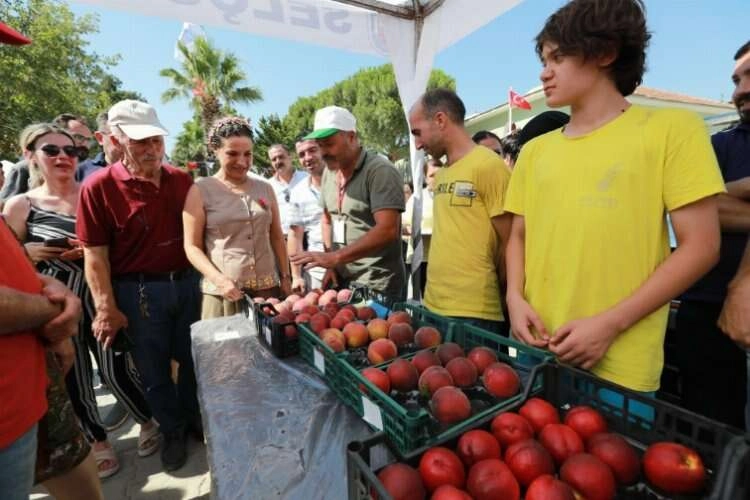 'Şen Şeftali Şenliği' Efes Selçuk'ta başlıyor haberinin görseli