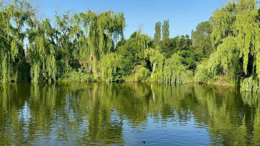 AFYONKARAHİSAR GÖL_İLKSES