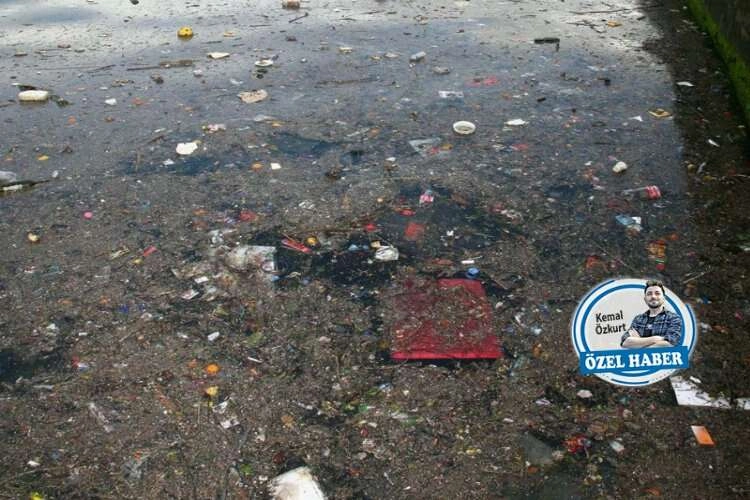 Körfezden çıkan balık yenilebilir mi? haberinin görseli