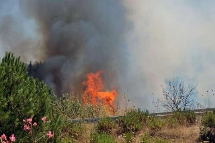 Milas-Bodrum Havalimanı kavşağında yangın haberinin görseli