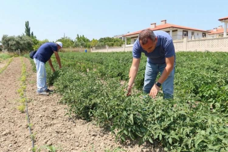 Bornovalı çiftçilere tam destek haberinin görseli