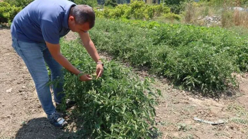 çiftçiye tam destek_ilksesgazetesi (3) (Özel)