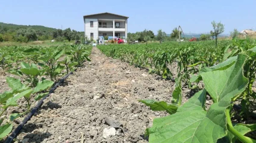 çiftçiye tam destek_ilksesgazetesi (6) (Özel)