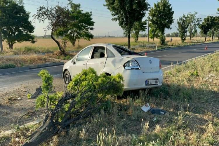 Afyonkarahisar’da otomobil ağaçları devirdi haberinin görseli