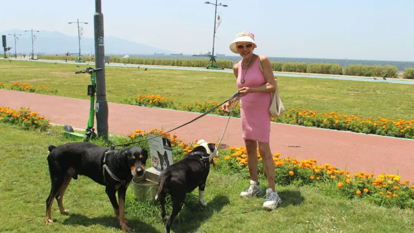 KÖPEK_İLKSES-1