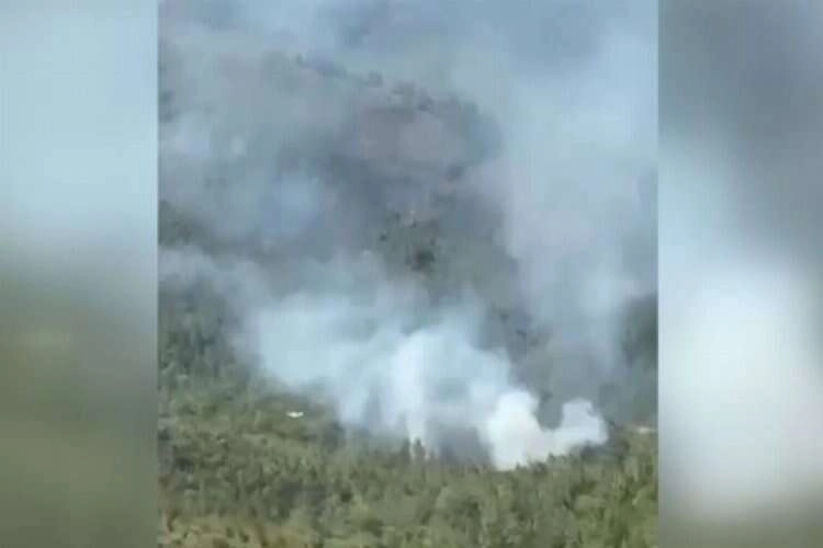 Muğla Köyceğiz'de ormanlık alanda yangın çıktı haberinin görseli