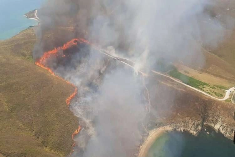 Avşa Adası'nda yangın: Müdahale devam ediyor haberinin görseli