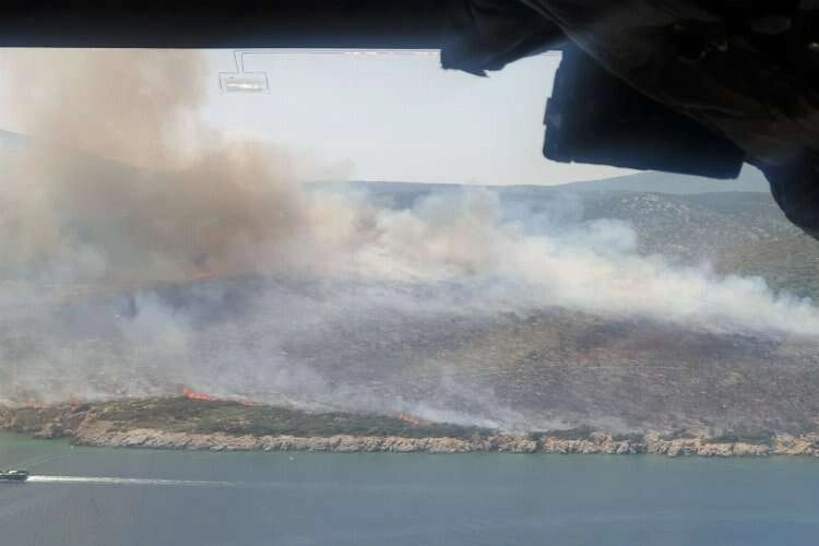İzmir'deki orman yangınıyla ilgili şüpheliler serbest haberinin görseli