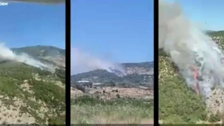 İzmir ve Manisa’da çıkan 9 orman yangını, İzmir Orman Bölge Müdürlüğü ekiplerince havadan ve karadan yapılan müdahaleler ile söndürüldü