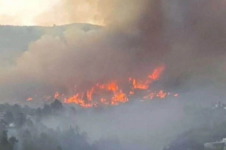 İspanya'nın La Palma Adası’nda yangın haberinin görseli