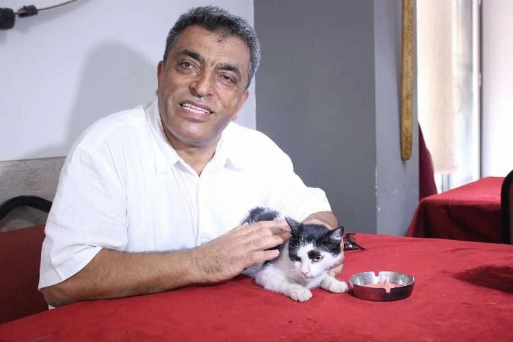 Anne kedi 'Mazlum' yavrularını aç bırakmıyor haberinin görseli