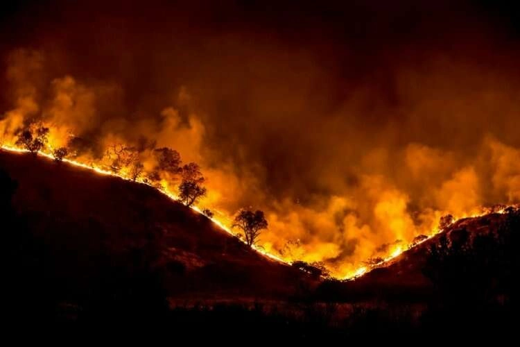 İzmir ve Manisa’da çıkan 9 orman yangını söndürüldü haberinin görseli