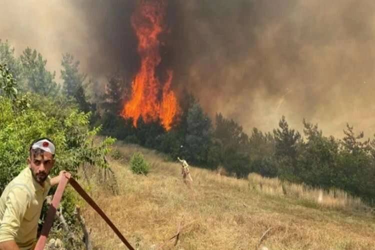 Gökçeada, Osmaniye ve Kahramanmaraş'ta yangın! haberinin görseli