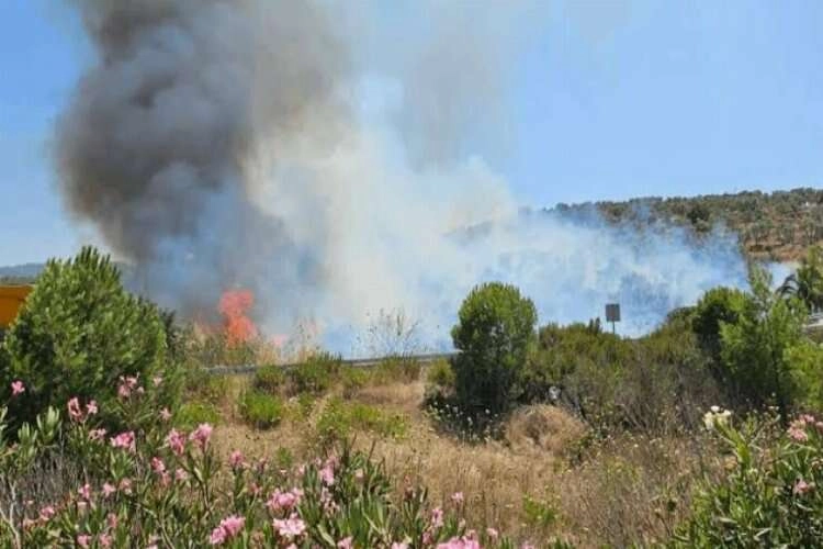 İzmir'de yangın: Söndürme çalışmaları sürüyor haberinin görseli